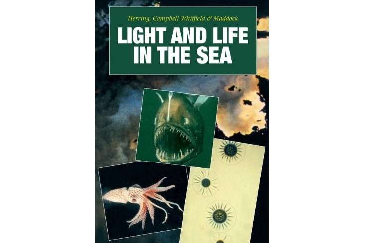 Light and Life in the Sea