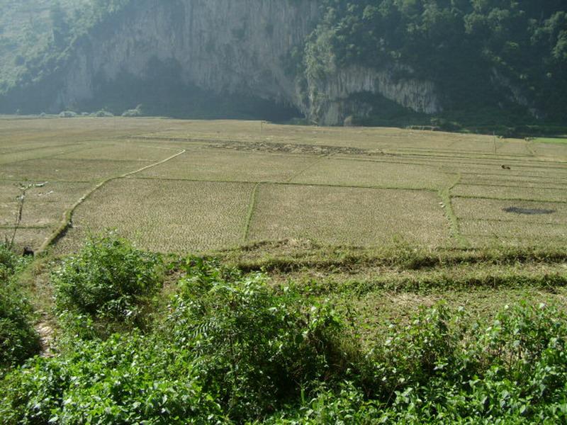 村中田園