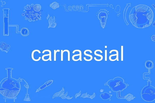 carnassial