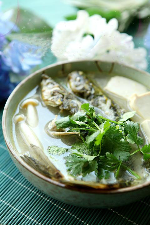 黃顙魚豆腐湯