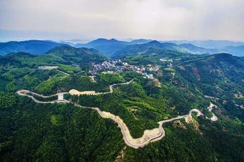 龍舌村(江蘇南通如皋市九華鎮龍舌村)