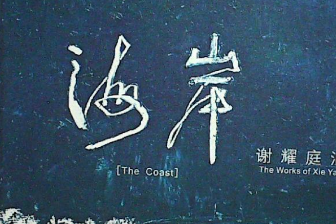 海岸(2007年嶺南美術出版社出版的圖書)