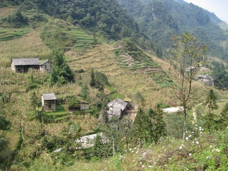 官房村(雲南省鎮雄縣碗廠鄉下轄村)