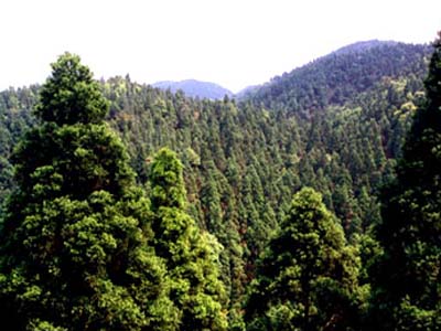 瓦屋山風景區