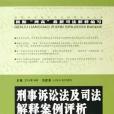 刑事訴訟法及司法解釋案例評析