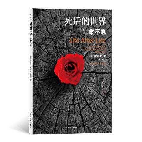 死後的世界：生命不息(2019年中國友誼出版公司出版的圖書)