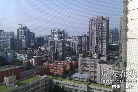 實景圖