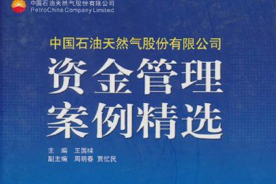 中國石油天然氣股份有限公司資金管理案例精選