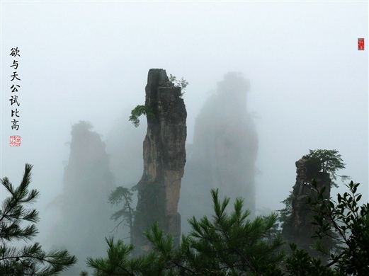 張家界自駕車旅遊攻略網