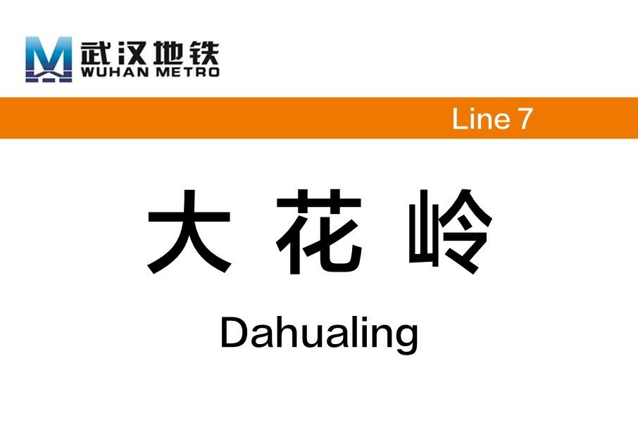 大花嶺站(中國湖北省武漢市境內捷運車站)