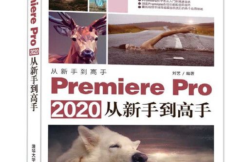 Premiere Pro 2020從新手到高手