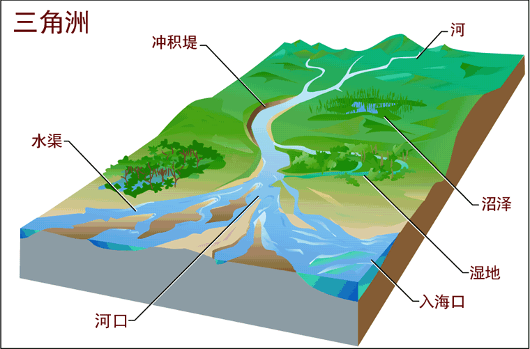 三角洲(河口三角洲)