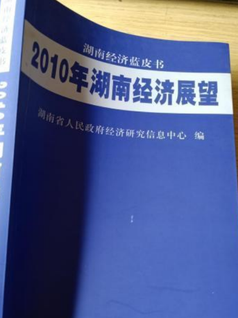 2010年湖南經濟展望