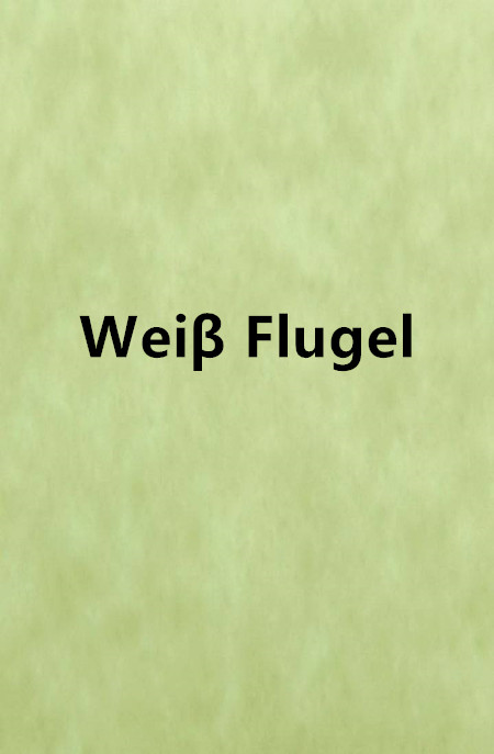 Weiβ Flugel(晨曦奶茶的小說)