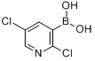 2,5-二氯吡啶-3-硼酸