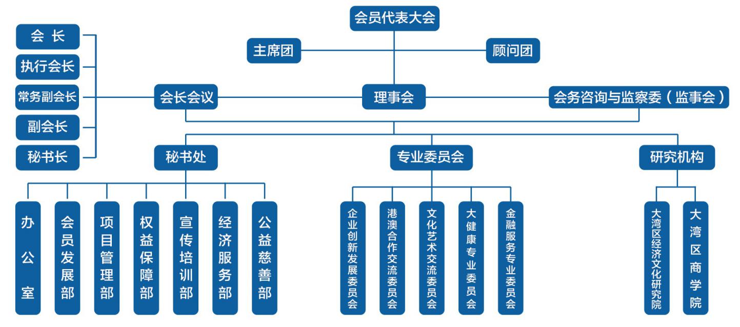 粵港澳大灣區促進會組織架構