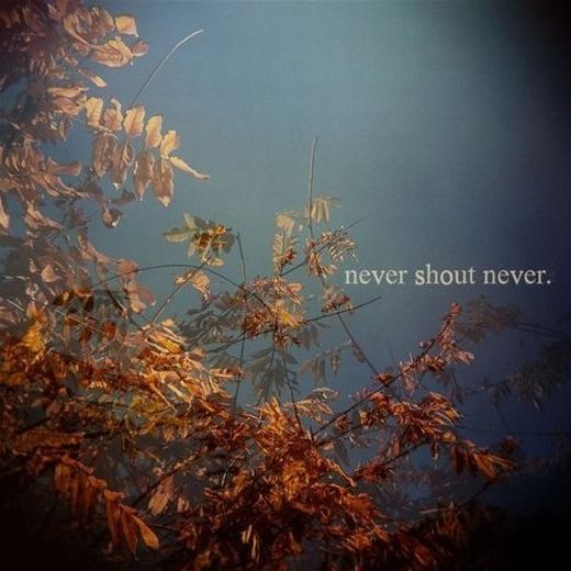 Never Shout Never