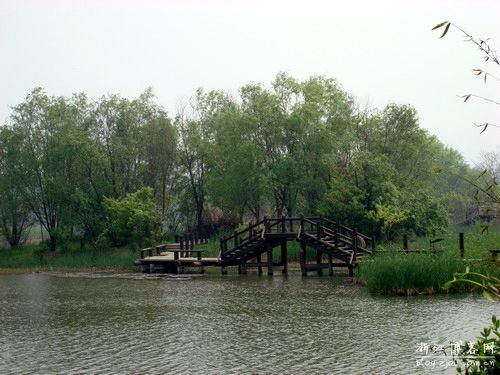 鄄城八景