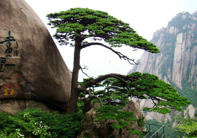 黃山市黃山風景區(黃山風景名勝區)