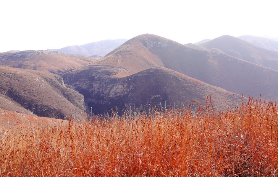 北京平谷青龍山旅遊區(青龍山風景區（北京青龍山風景區）)