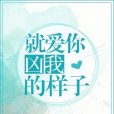 就愛你凶我的樣子(蘇錢錢創作的網路小說作品)