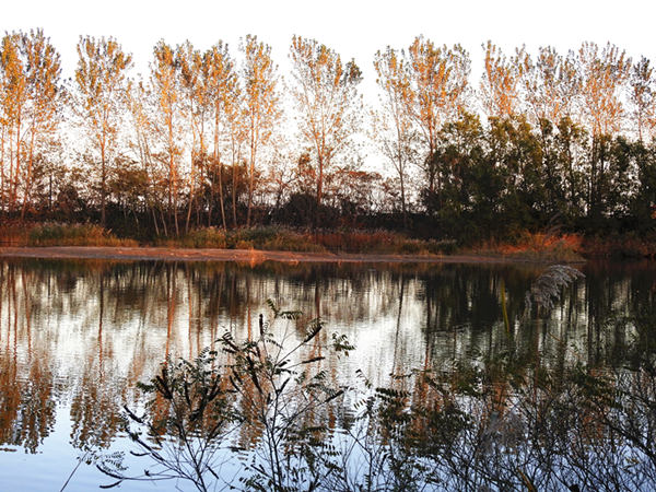 北戴河國家濕地公園