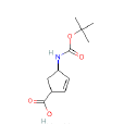 (1R,4S)-N-叔丁氧羰基-1-氨基環戊-2-烯-4-甲酸