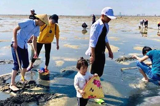 紅樹林拾貝趕海