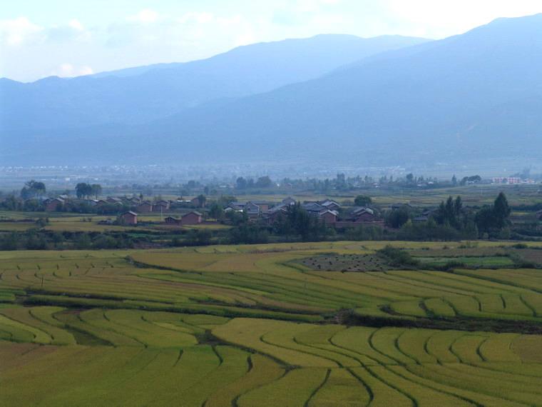 石花坪村