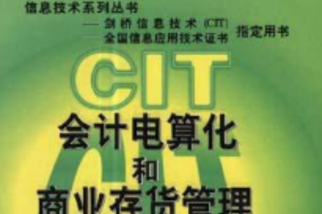 信息技術系列叢書-會計電算化和商業存貨管理