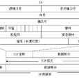 數據報傳輸協定