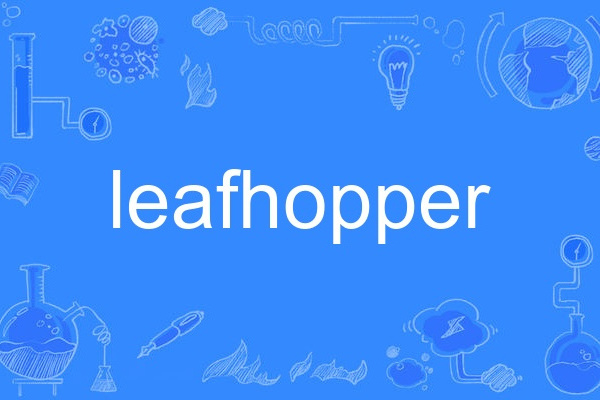 leafhopper