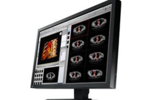 Eizo FlexScan MX300W