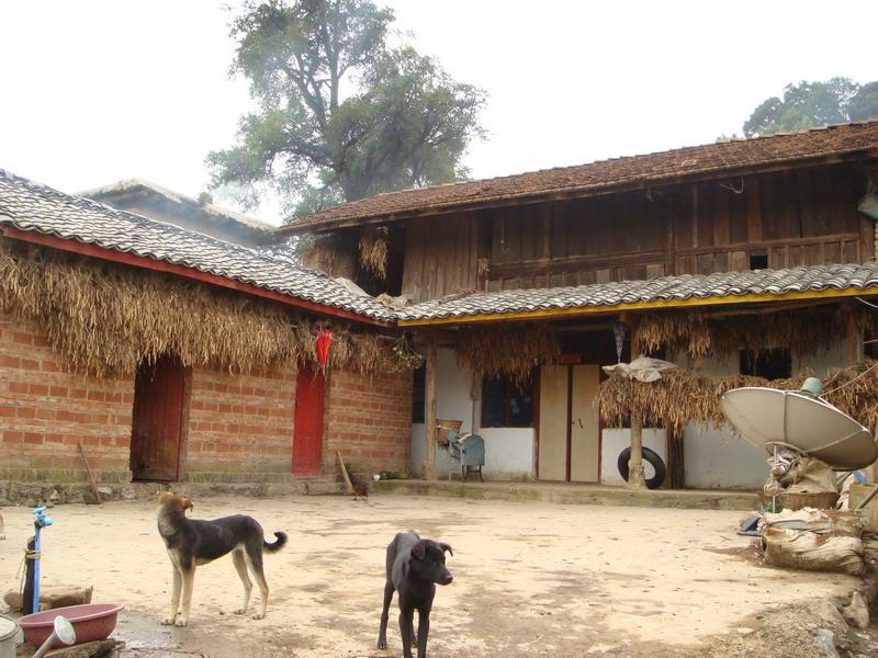 施底村(雲南省福貢縣上帕鎮施底村)