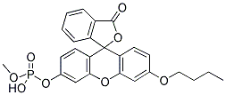 O-甲基-O-（N-丁基螢光素）磷酸鹽