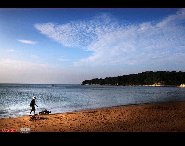 茫洲島