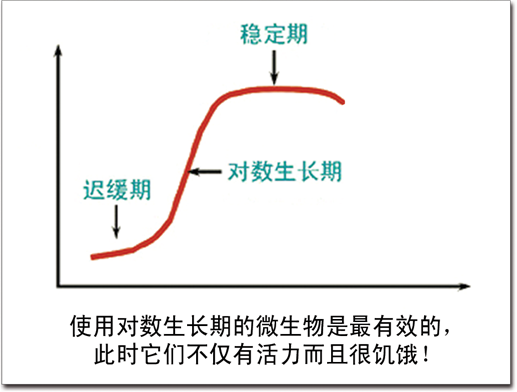 線上持續生物增效技術