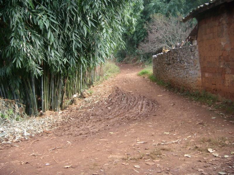 進村路