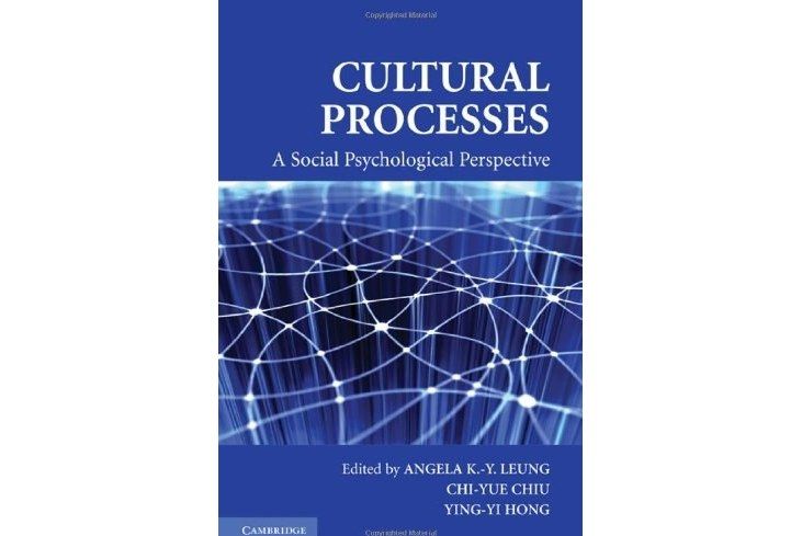 Cultural Processes