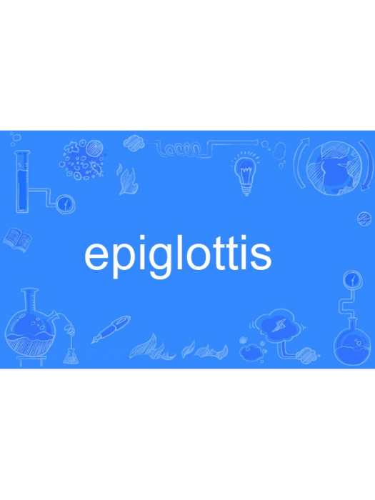 epiglottis