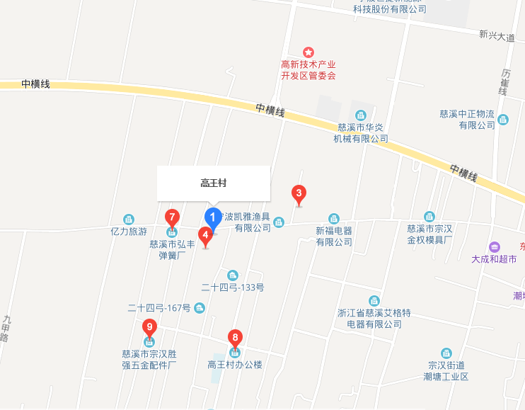 高王村(浙江省寧波市慈谿市宗漢街道高王村)