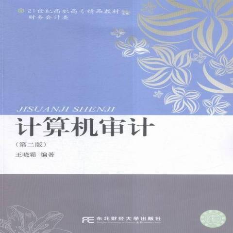 計算機審計(2016年東北財經大學出版社出版的圖書)