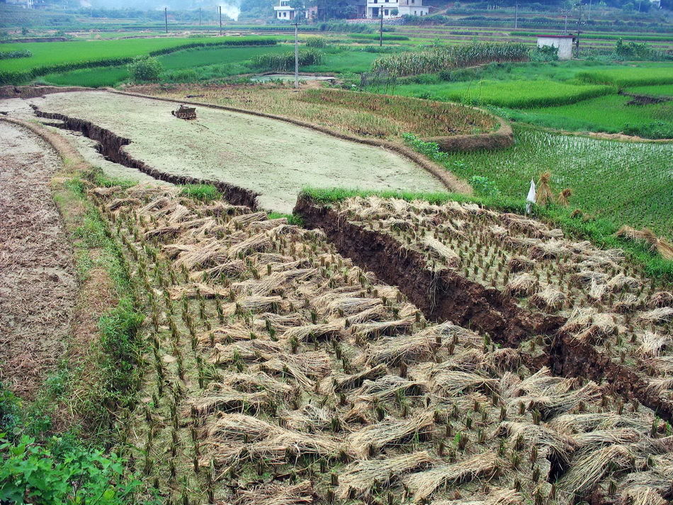 地面開裂2