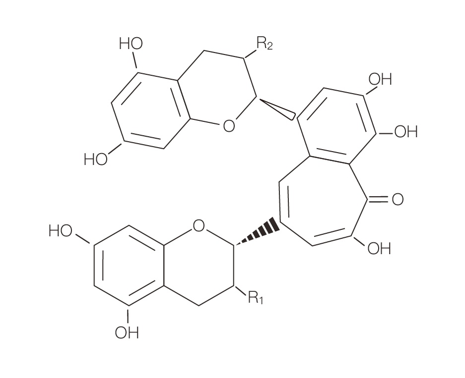 茶黃色素