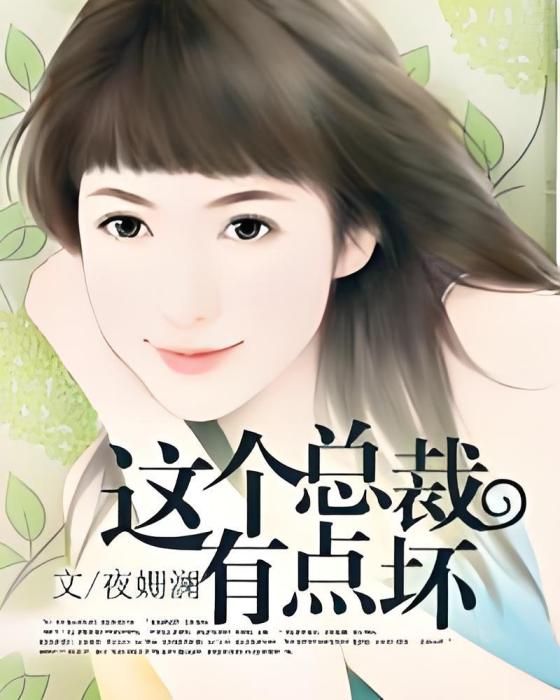 這個總裁有點壞(夜姍瀾創作的網路小說)