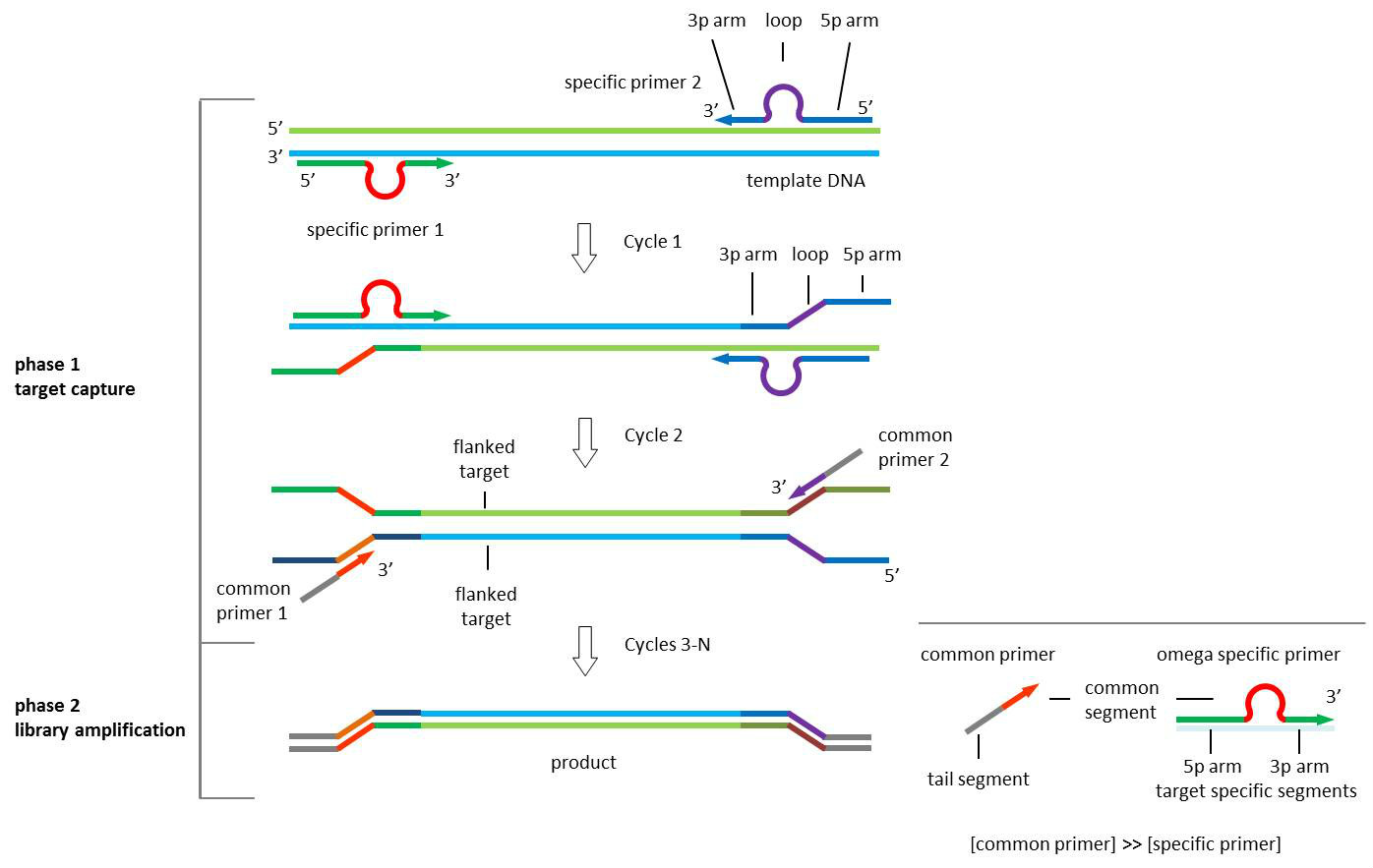 RelayPCR