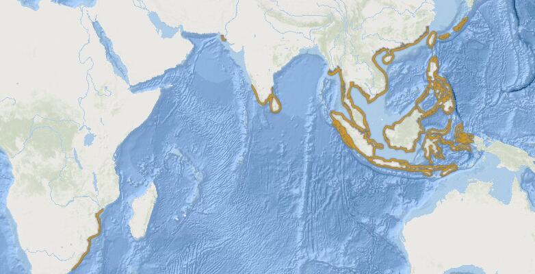 爪哇牛鼻鱝分布圖