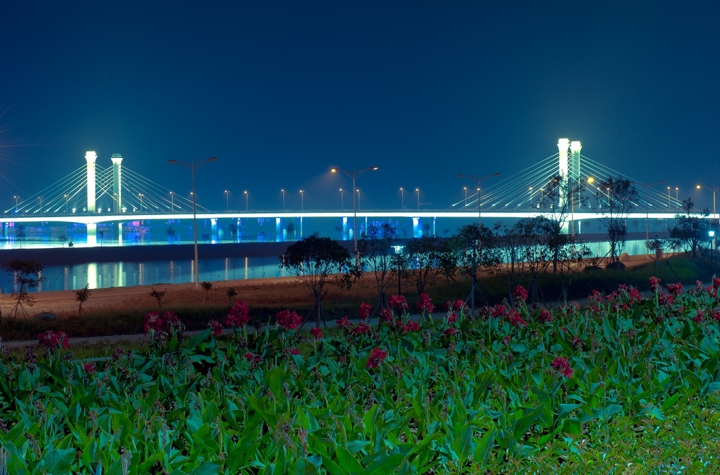 “千年帝鄉”南陽光武（劉秀）大橋夜景