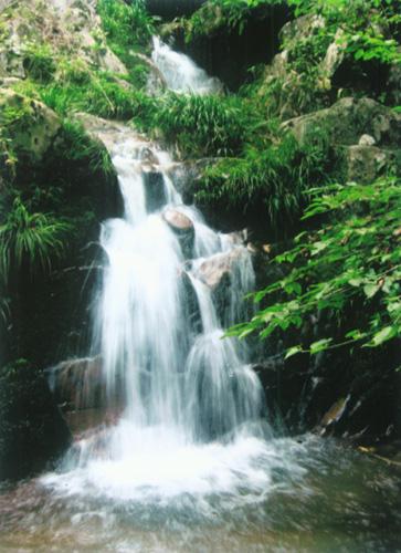 桃花沖森林公園