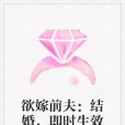 欲嫁前夫：結婚，即時生效